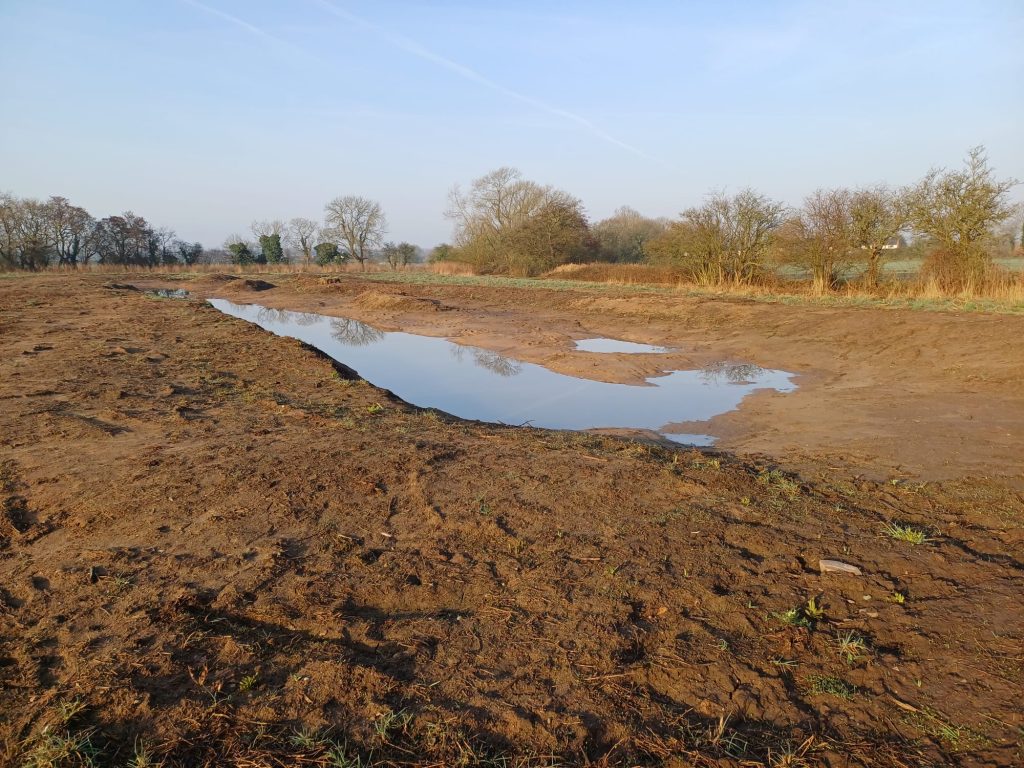 Kindling Wetland